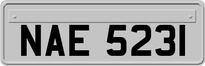 NAE5231