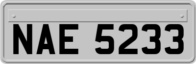 NAE5233