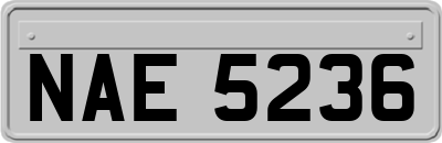 NAE5236