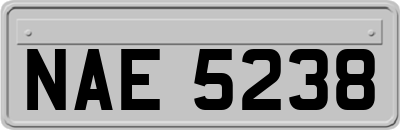 NAE5238