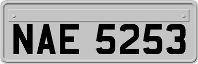 NAE5253