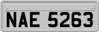 NAE5263