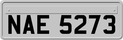 NAE5273