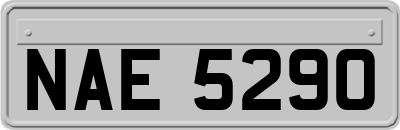 NAE5290