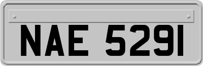 NAE5291