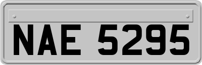 NAE5295