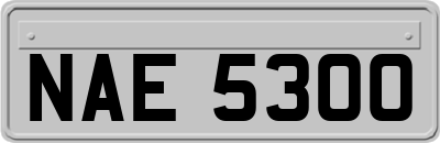 NAE5300