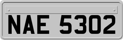 NAE5302