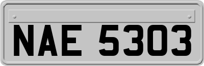 NAE5303