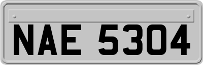 NAE5304