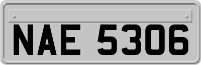 NAE5306