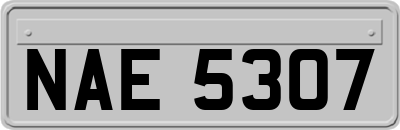 NAE5307