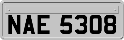 NAE5308