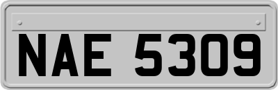 NAE5309