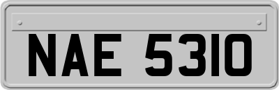 NAE5310