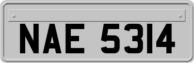 NAE5314