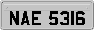 NAE5316