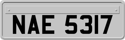 NAE5317