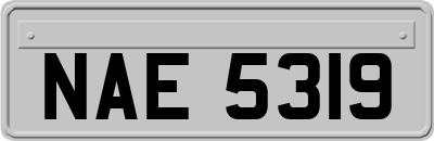 NAE5319