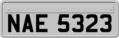 NAE5323