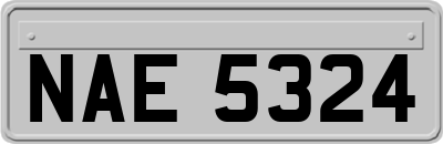 NAE5324