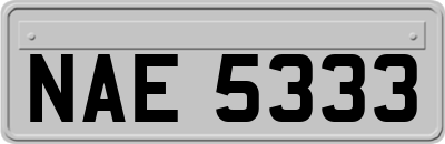 NAE5333