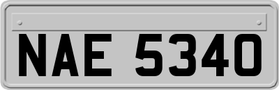 NAE5340