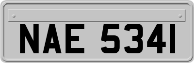 NAE5341