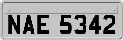 NAE5342