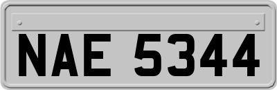 NAE5344