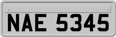 NAE5345