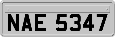 NAE5347