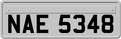 NAE5348