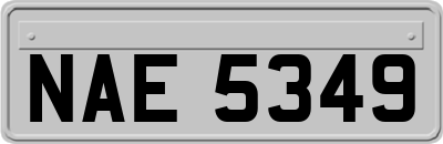 NAE5349