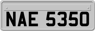 NAE5350