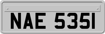 NAE5351