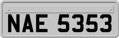 NAE5353