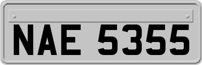 NAE5355