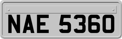 NAE5360