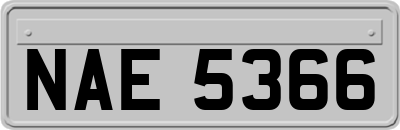 NAE5366