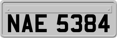 NAE5384