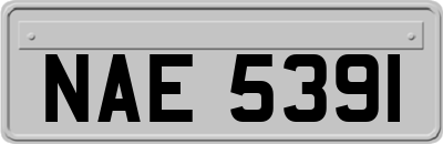 NAE5391