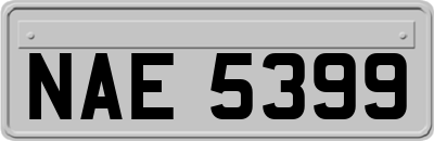 NAE5399