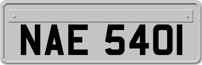 NAE5401