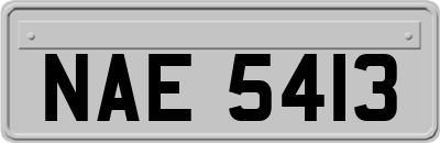 NAE5413