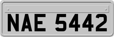 NAE5442