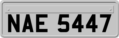 NAE5447