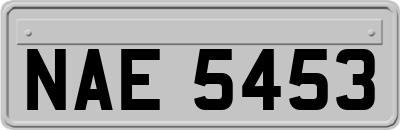 NAE5453