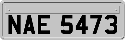 NAE5473