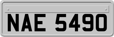 NAE5490